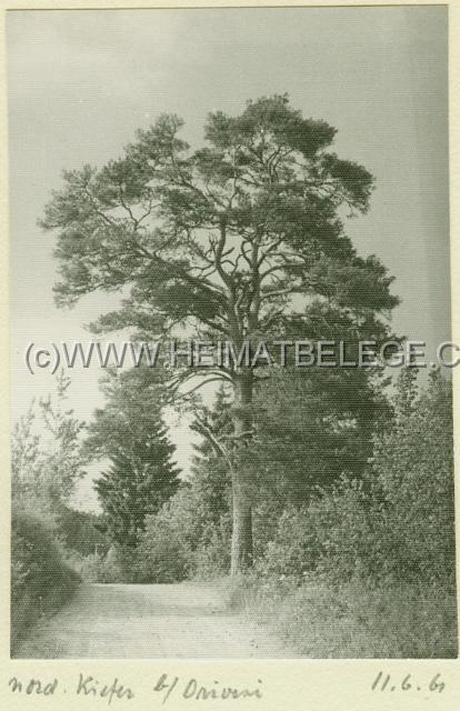 031_2 Orivesi vanha valokuvaus 7833k.jpg